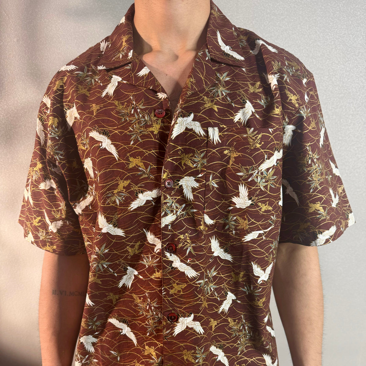 RIWYN Tranquil Swan in Brownland Structured Shirt