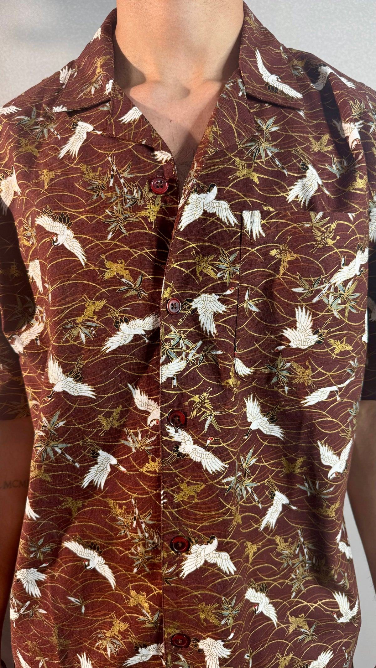 RIWYN Tranquil Swan in Brownland Structured Shirt